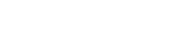 NeuroSoma